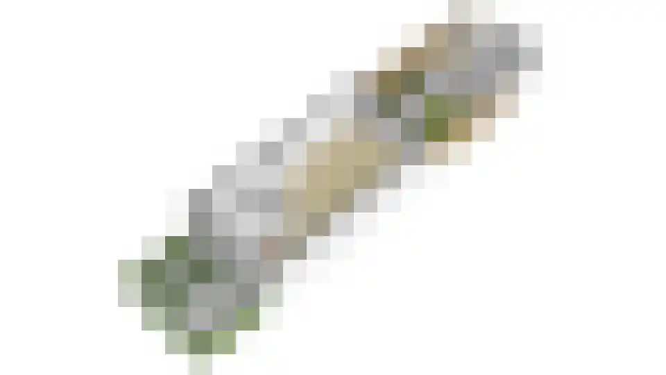 Paardenbloem 32 Driel thumbnail 56