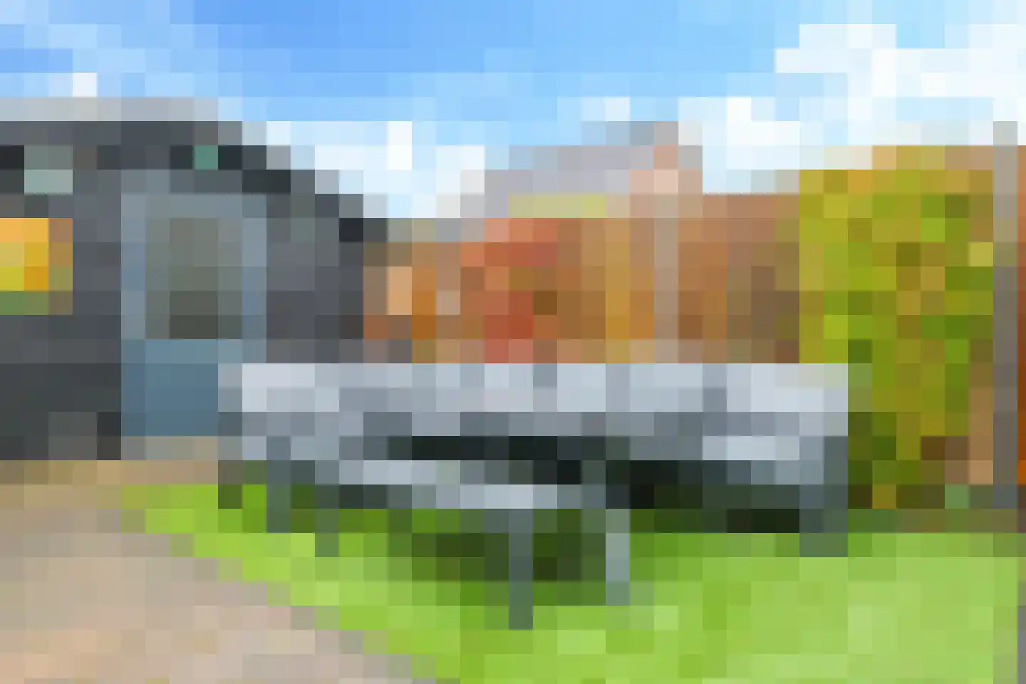 Paardenbloem 32 Driel thumbnail 63
