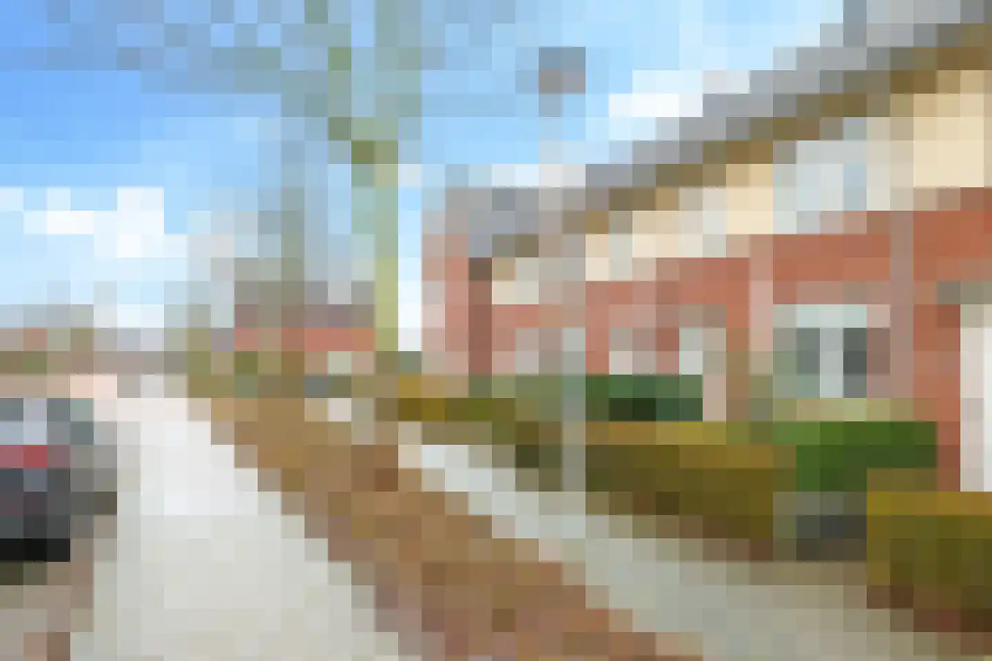 Paardenbloem 32 Driel thumbnail 69