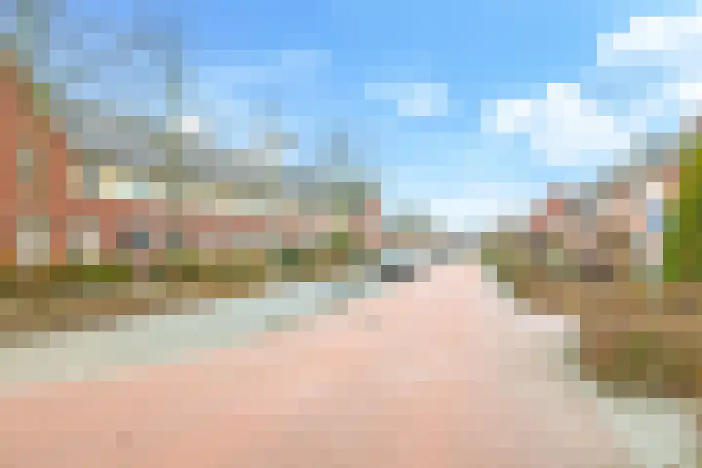 Paardenbloem 32 Driel thumbnail 70