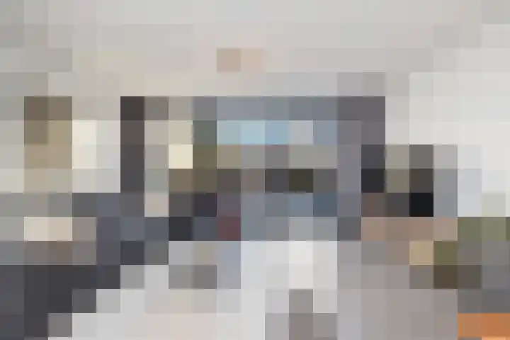 Paardenbloem 33 Berghem thumbnail 10