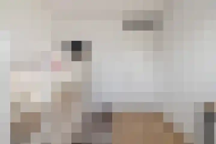 Paardenbloem 33 Berghem thumbnail 28