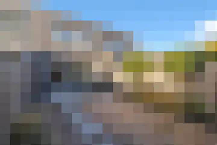 Paardenbloem 33 Berghem thumbnail 38