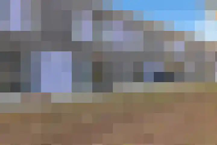 Paardenbloem 33 Berghem thumbnail 40