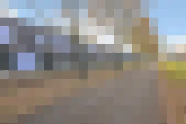 Paardenbloem 33 Berghem thumbnail 41