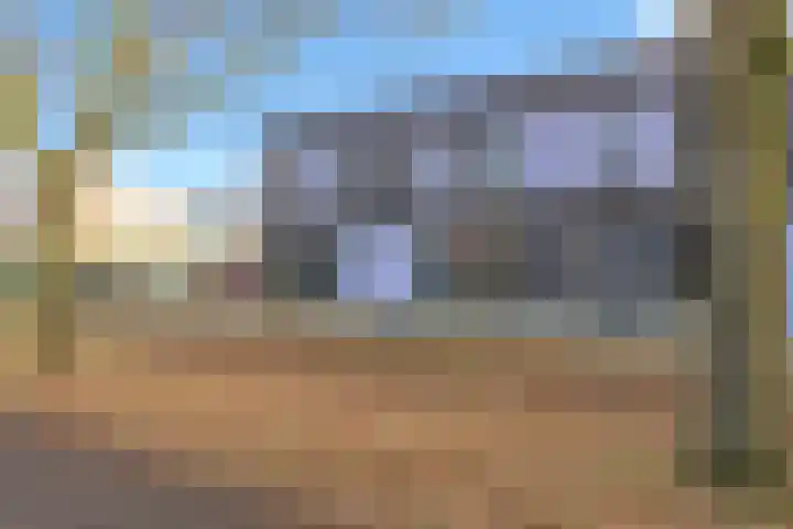 Paardenbloem 33 Berghem thumbnail 42