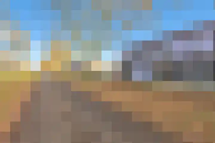 Paardenbloem 33 Berghem thumbnail 43