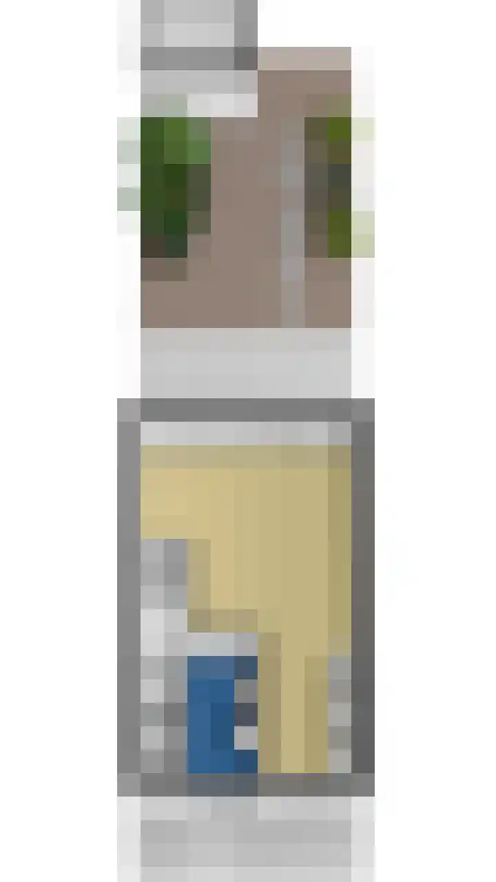 Paardenbloem 33 Berghem thumbnail 50