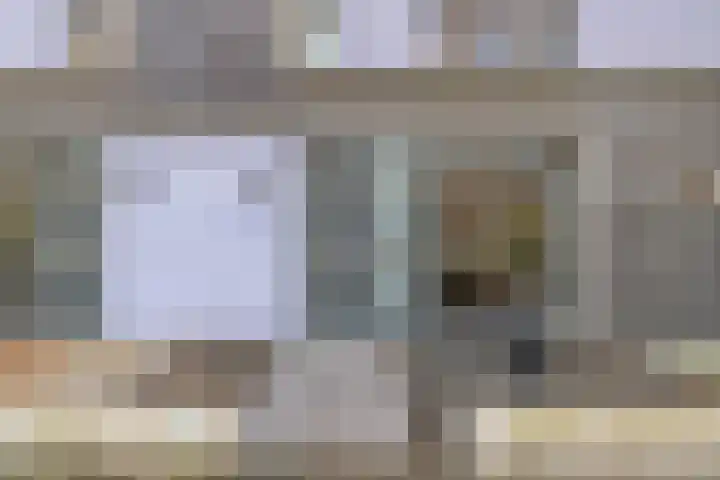 Paardenbloem 33 Berghem thumbnail 6