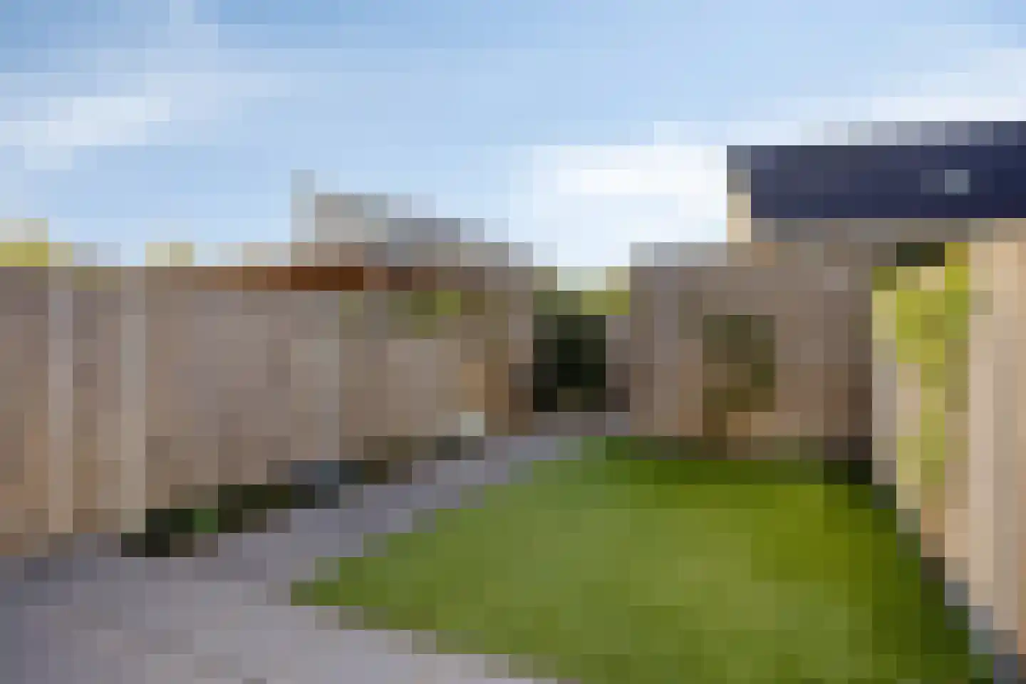 Paardenbloem 39 Berghem thumbnail 22