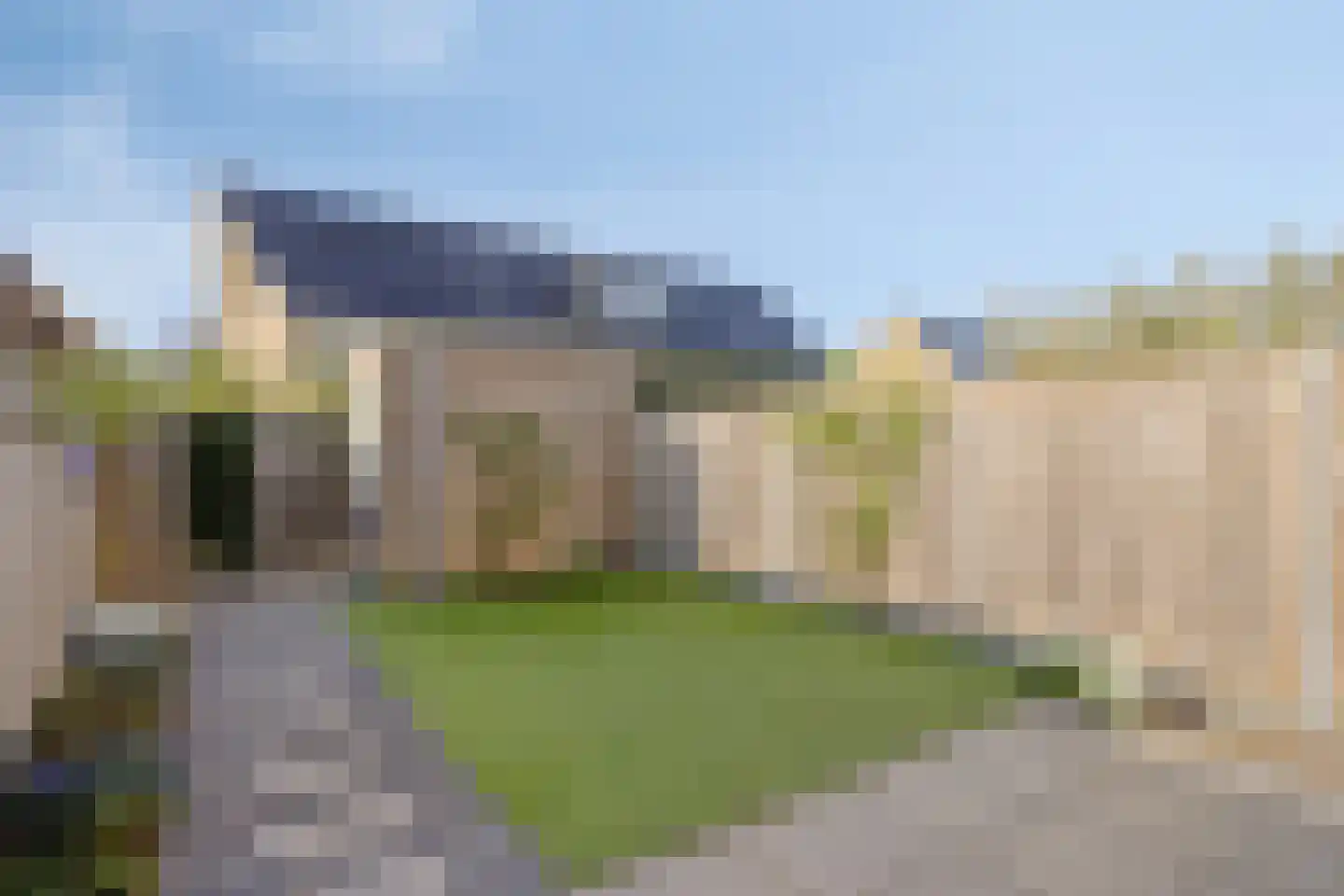 Paardenbloem 39 Berghem thumbnail 23