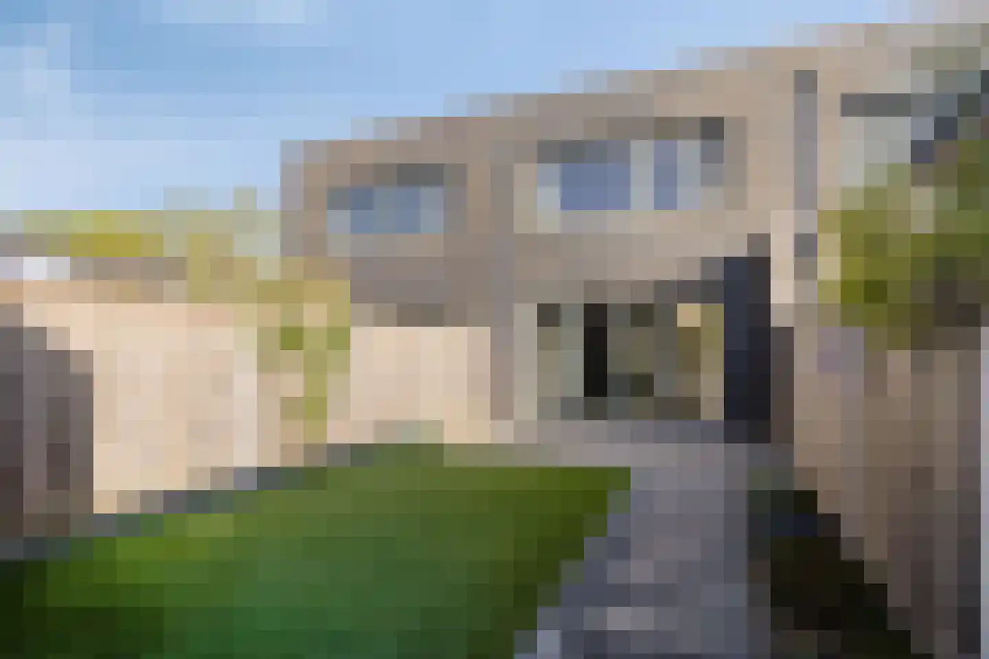 Paardenbloem 39 Berghem thumbnail 24