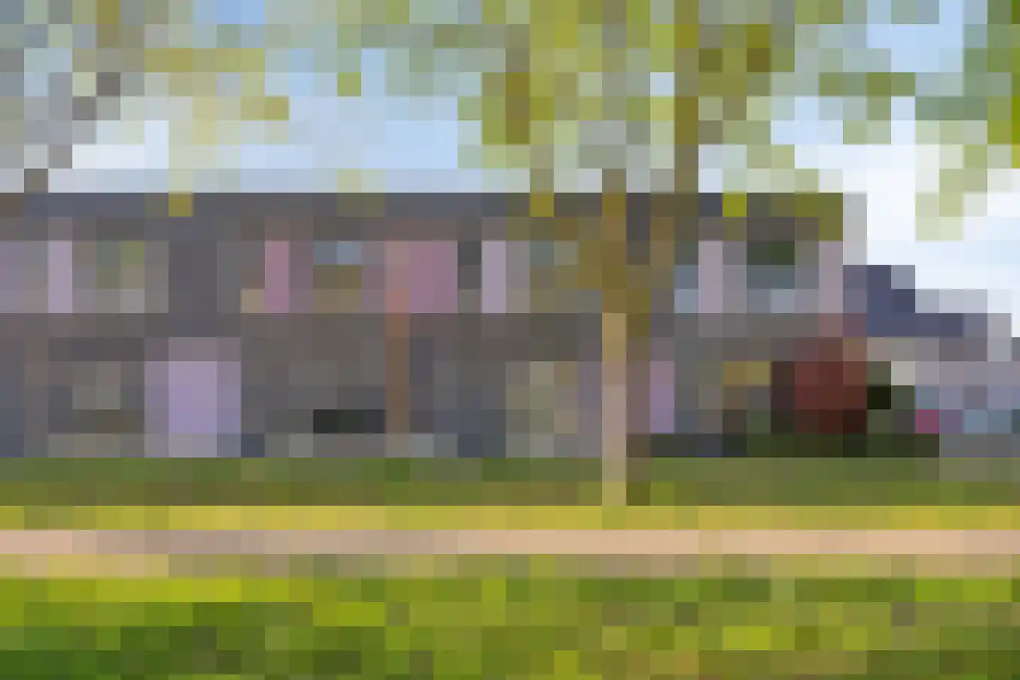 Paardenbloem 39 Berghem thumbnail 5