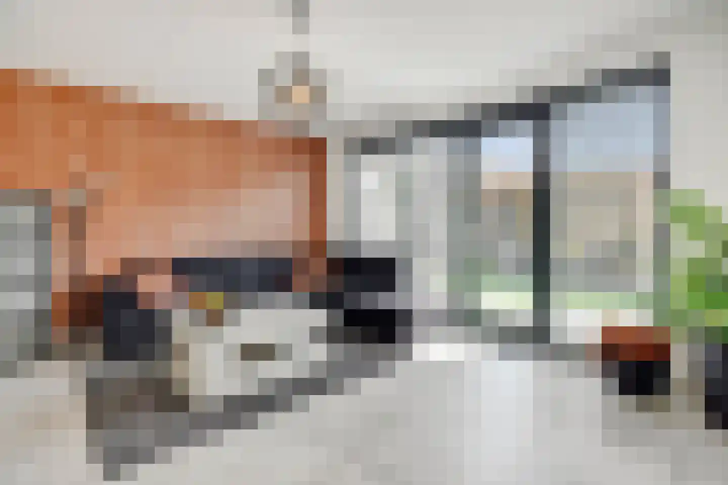 Paardenbloem 41 Berghem thumbnail 13