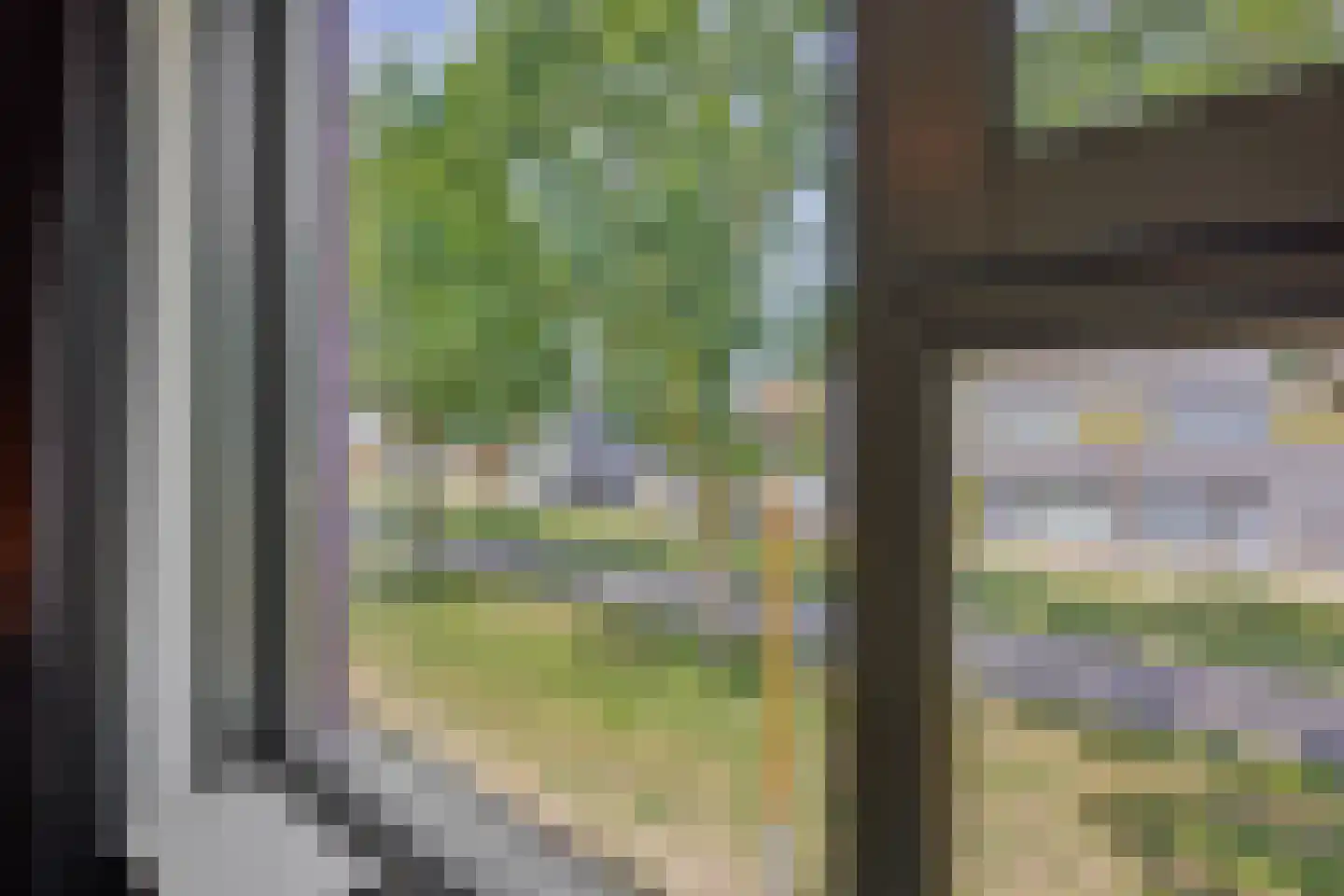 Paardenbloem 41 Berghem thumbnail 24