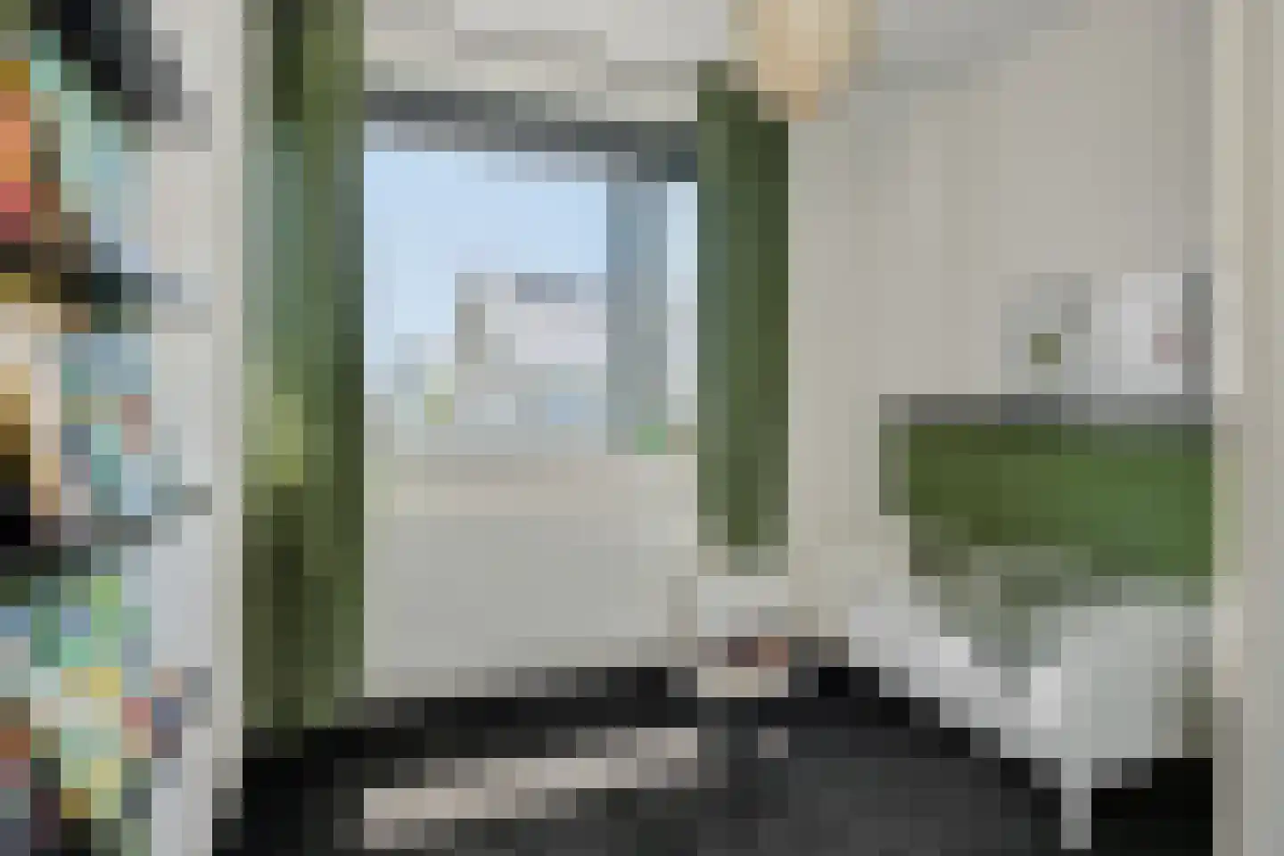 Paardenbloem 41 Berghem thumbnail 28