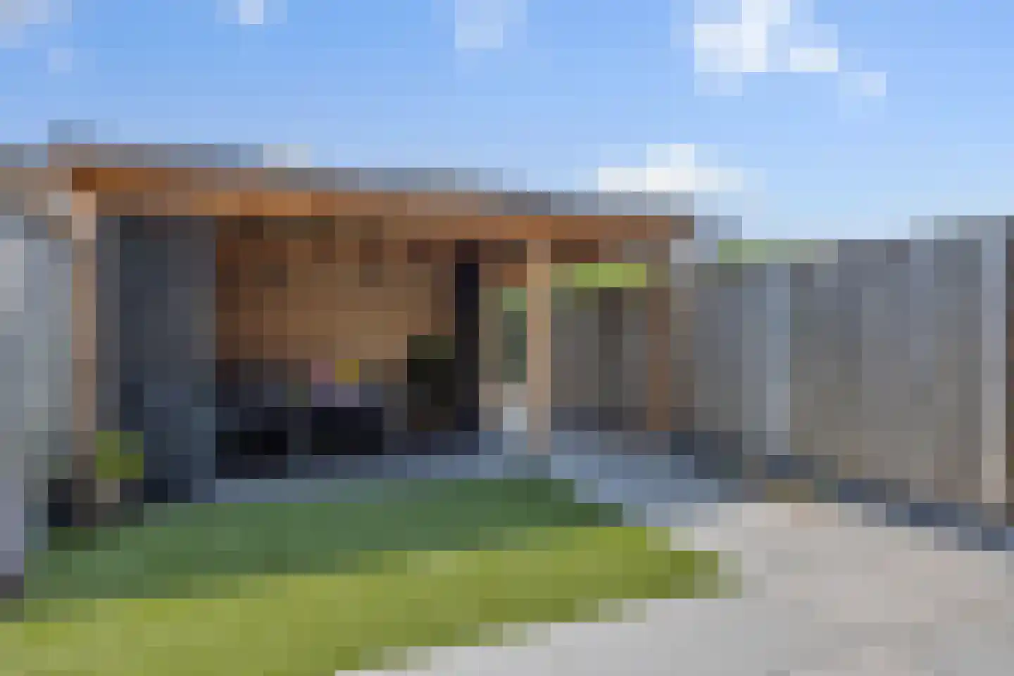 Paardenbloem 41 Berghem thumbnail 31