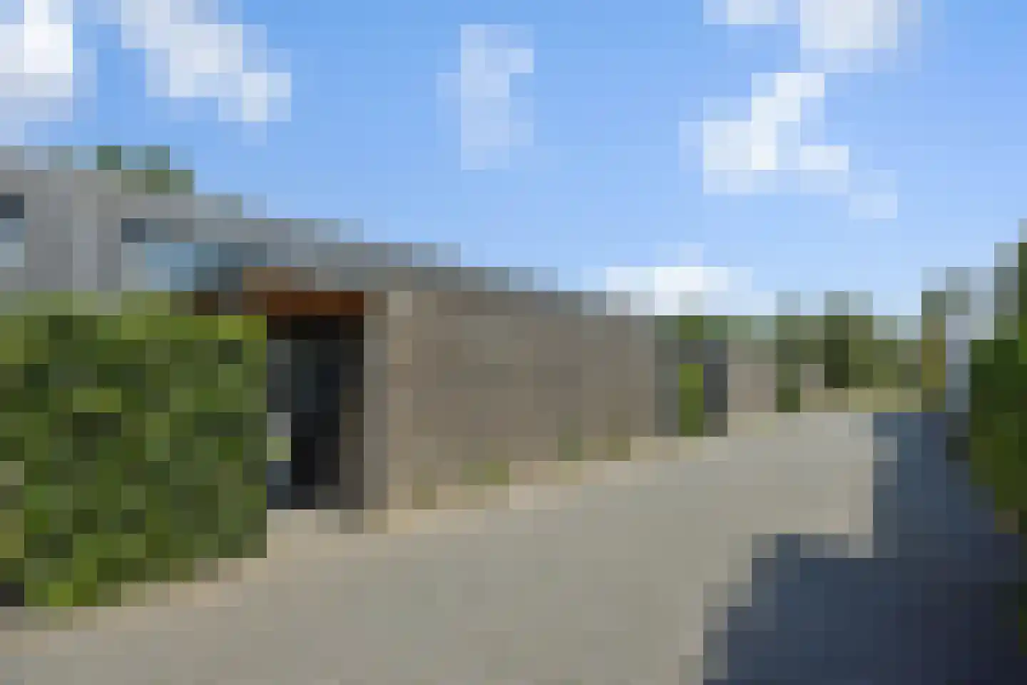 Paardenbloem 41 Berghem thumbnail 35
