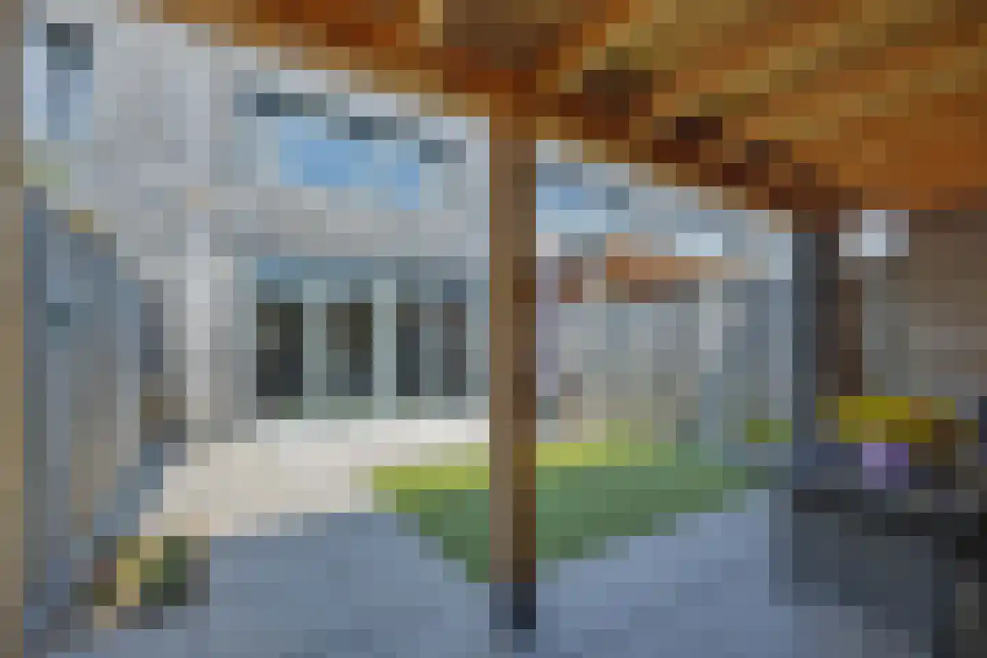 Paardenbloem 41 Berghem thumbnail 36