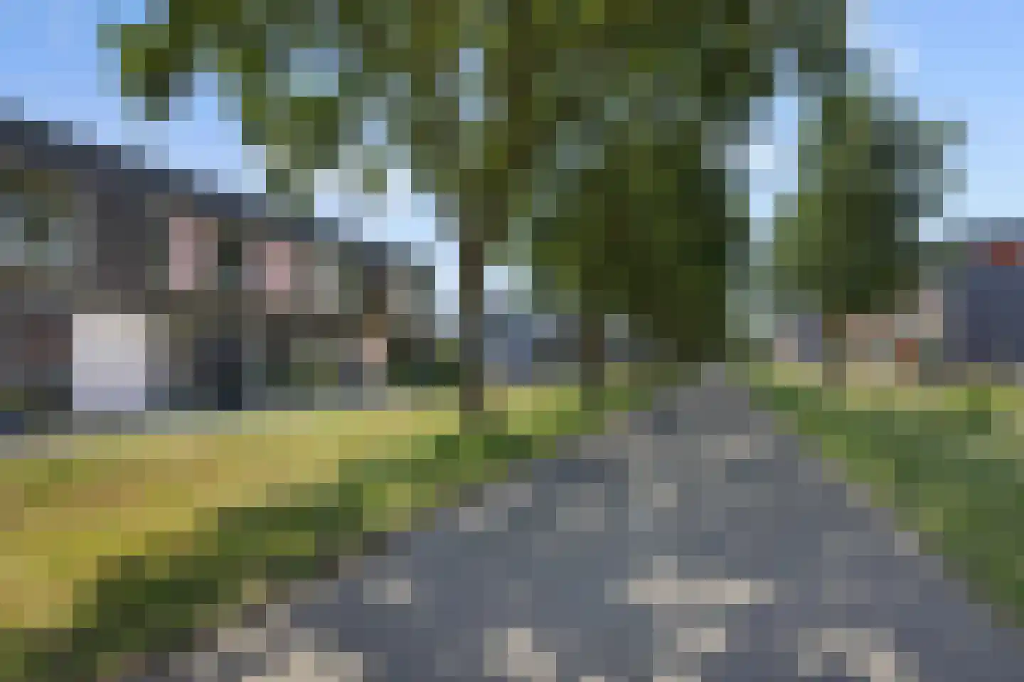 Paardenbloem 41 Berghem thumbnail 38