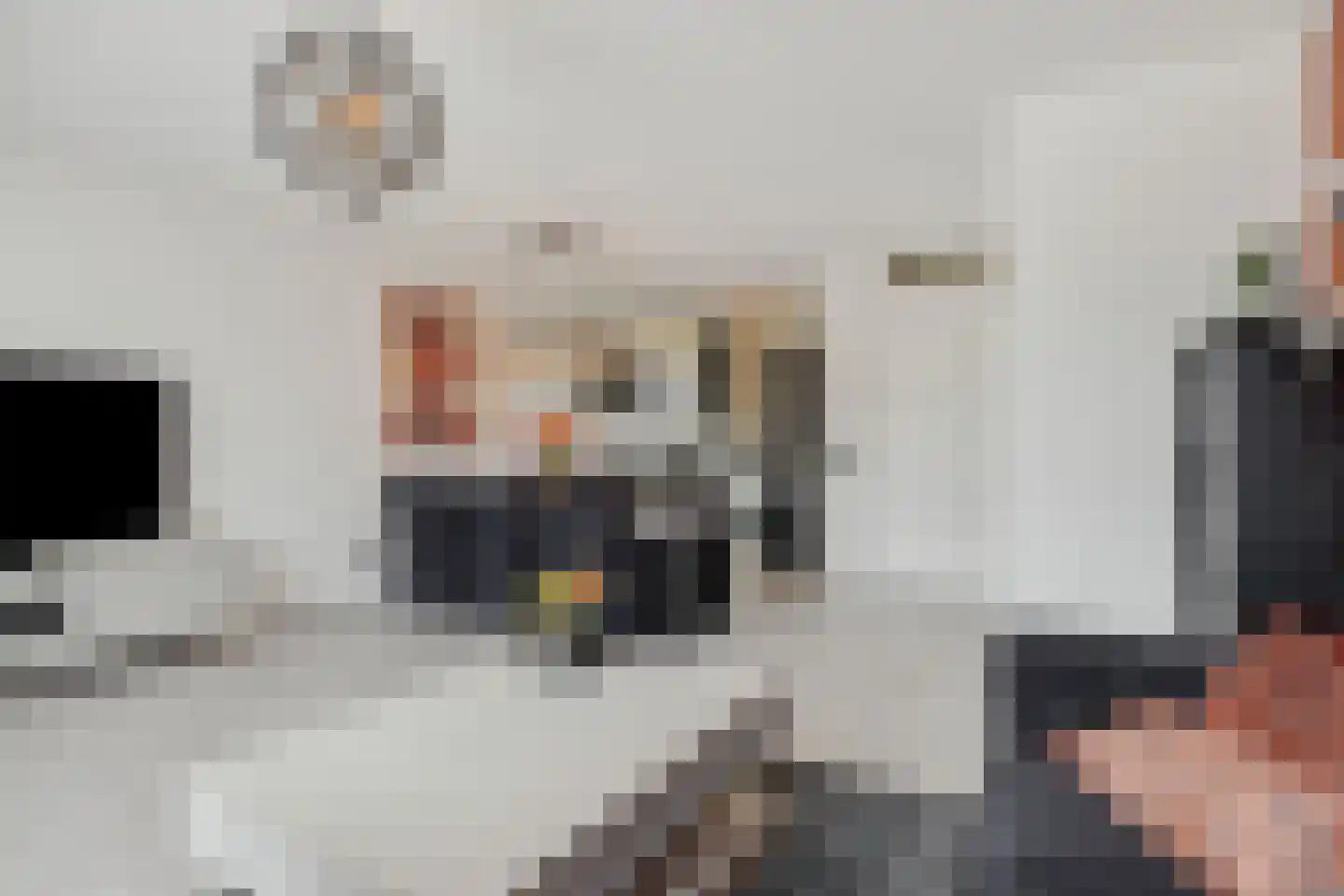 Paardenbloem 41 Berghem thumbnail 4
