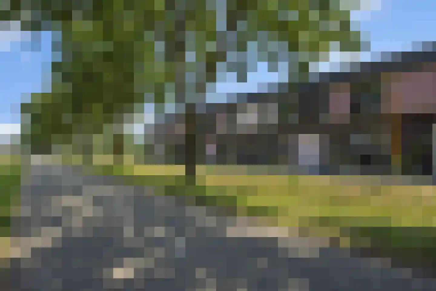 Paardenbloem 41 Berghem thumbnail 40