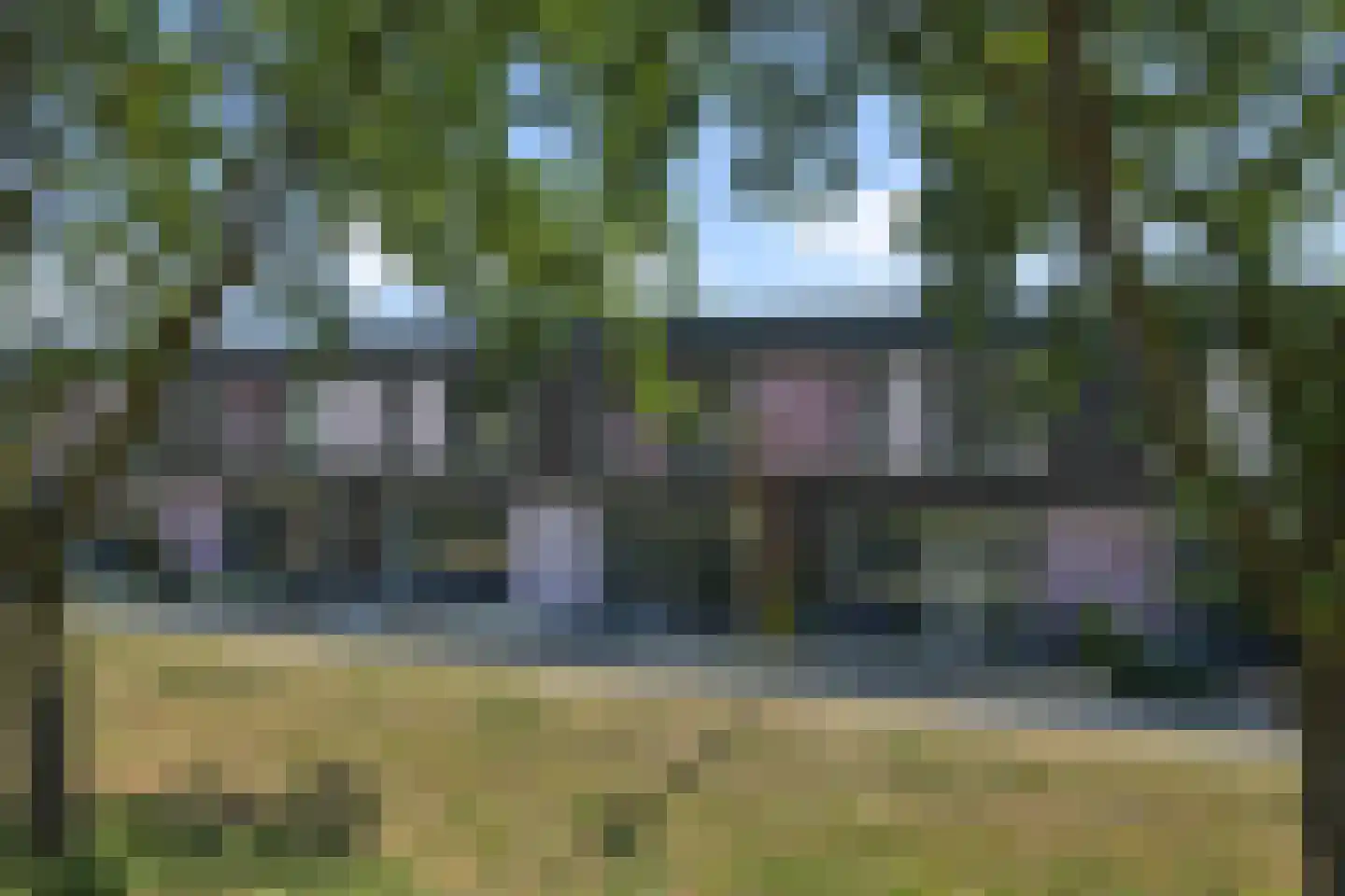 Paardenbloem 41 Berghem thumbnail 42