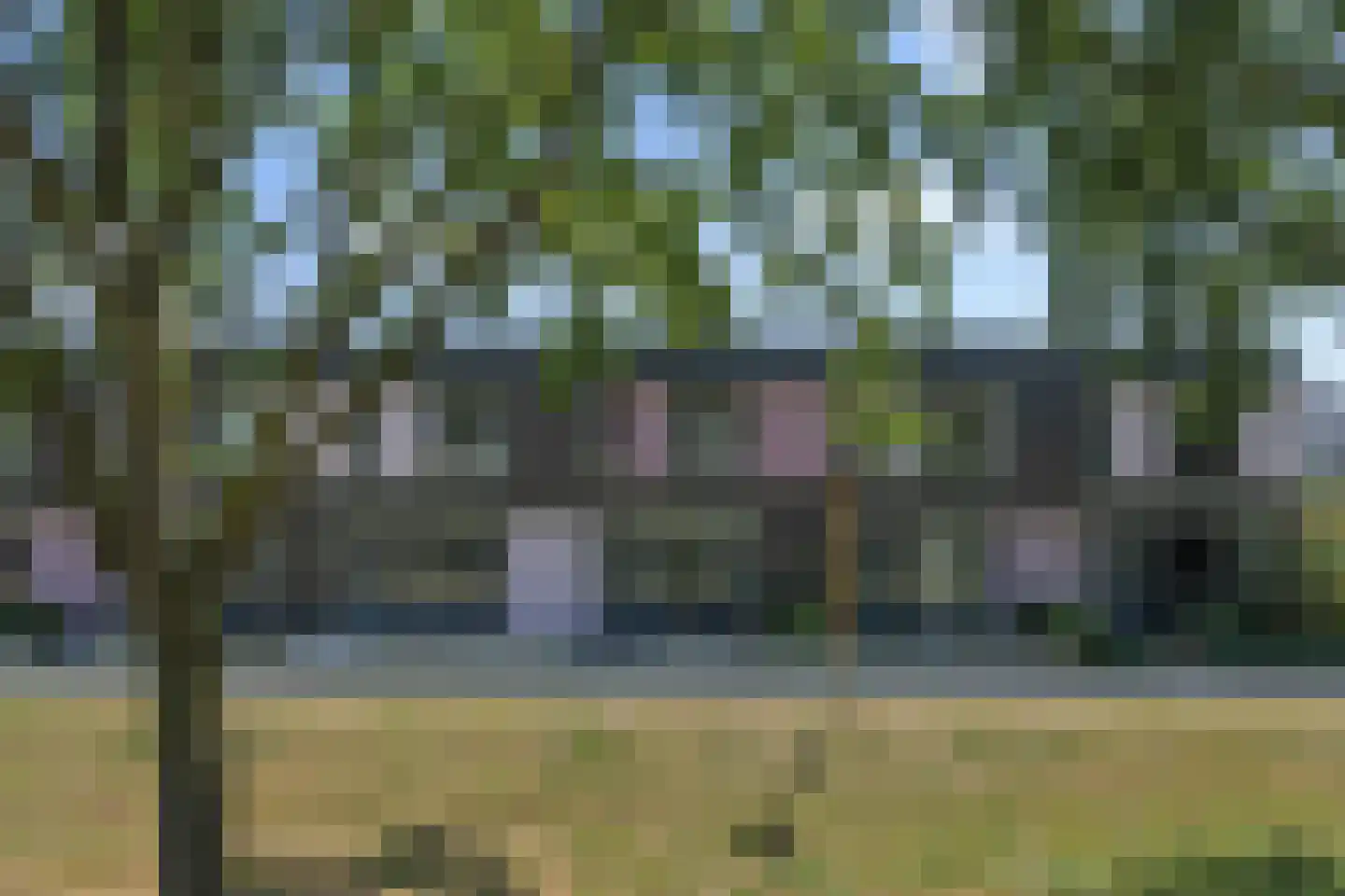 Paardenbloem 41 Berghem thumbnail 43