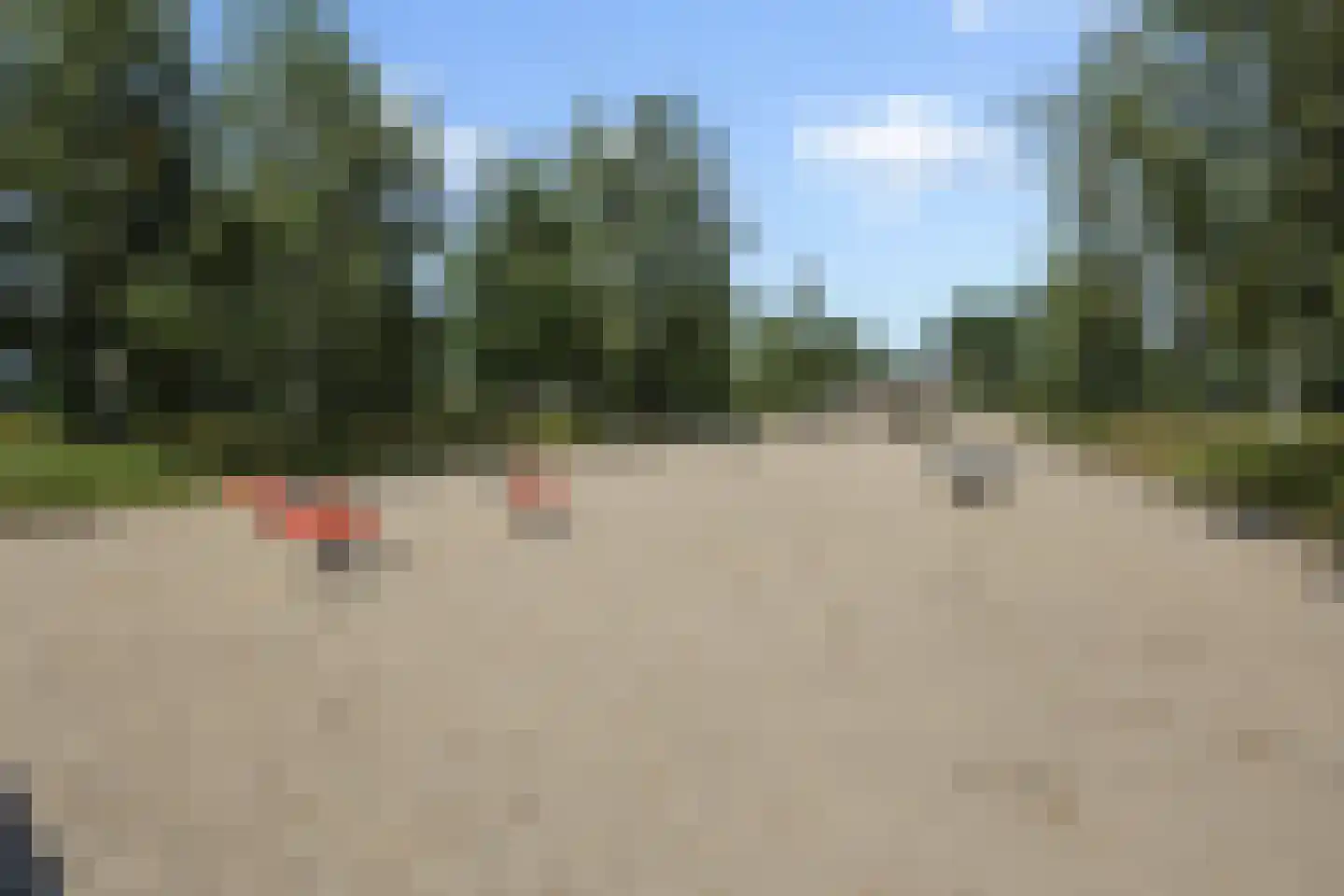 Paardenbloem 41 Berghem thumbnail 45