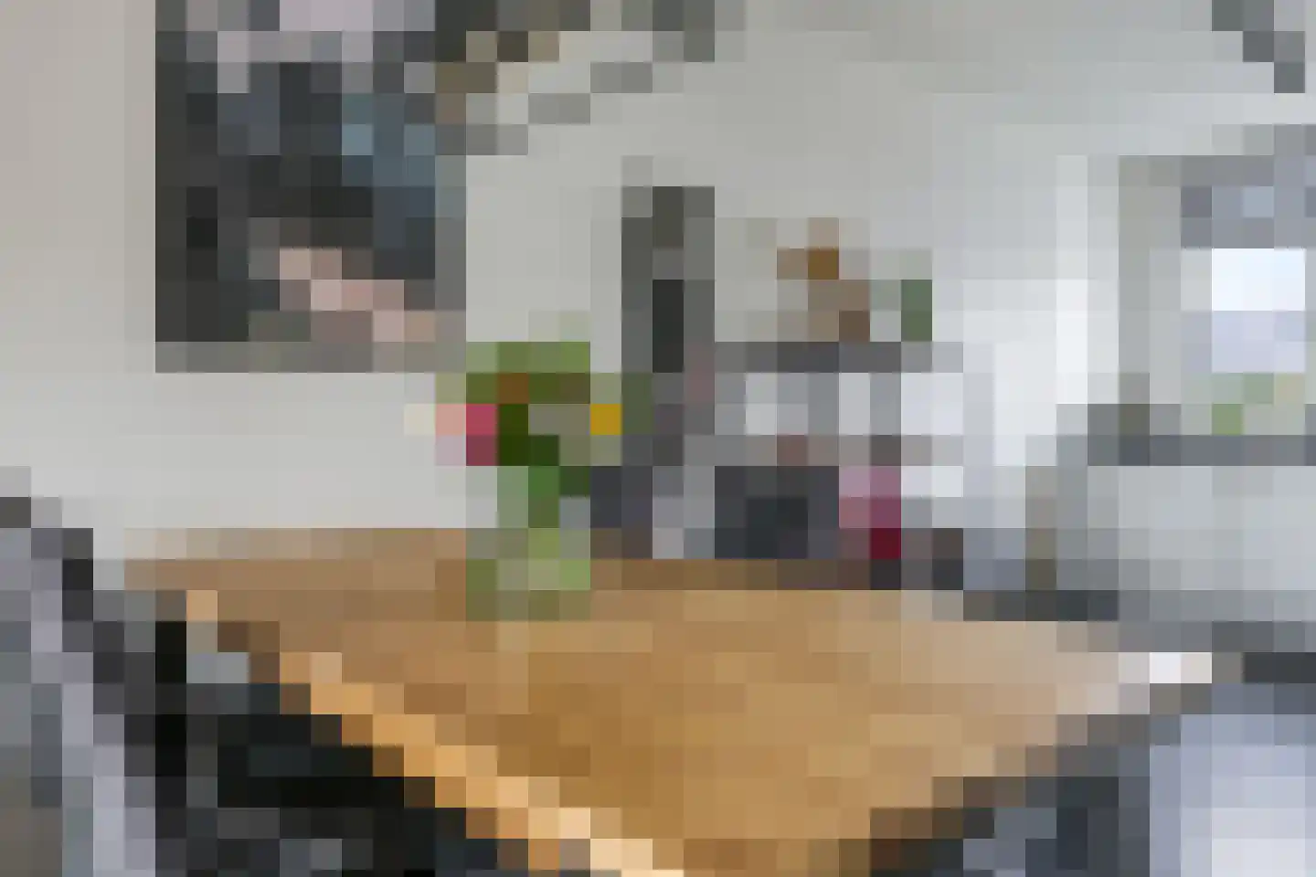 Paardenbloem 48 Driel thumbnail 23