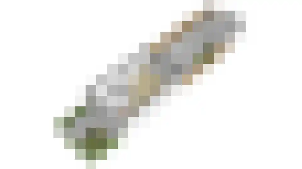 Paardenbloem 48 Driel thumbnail 55