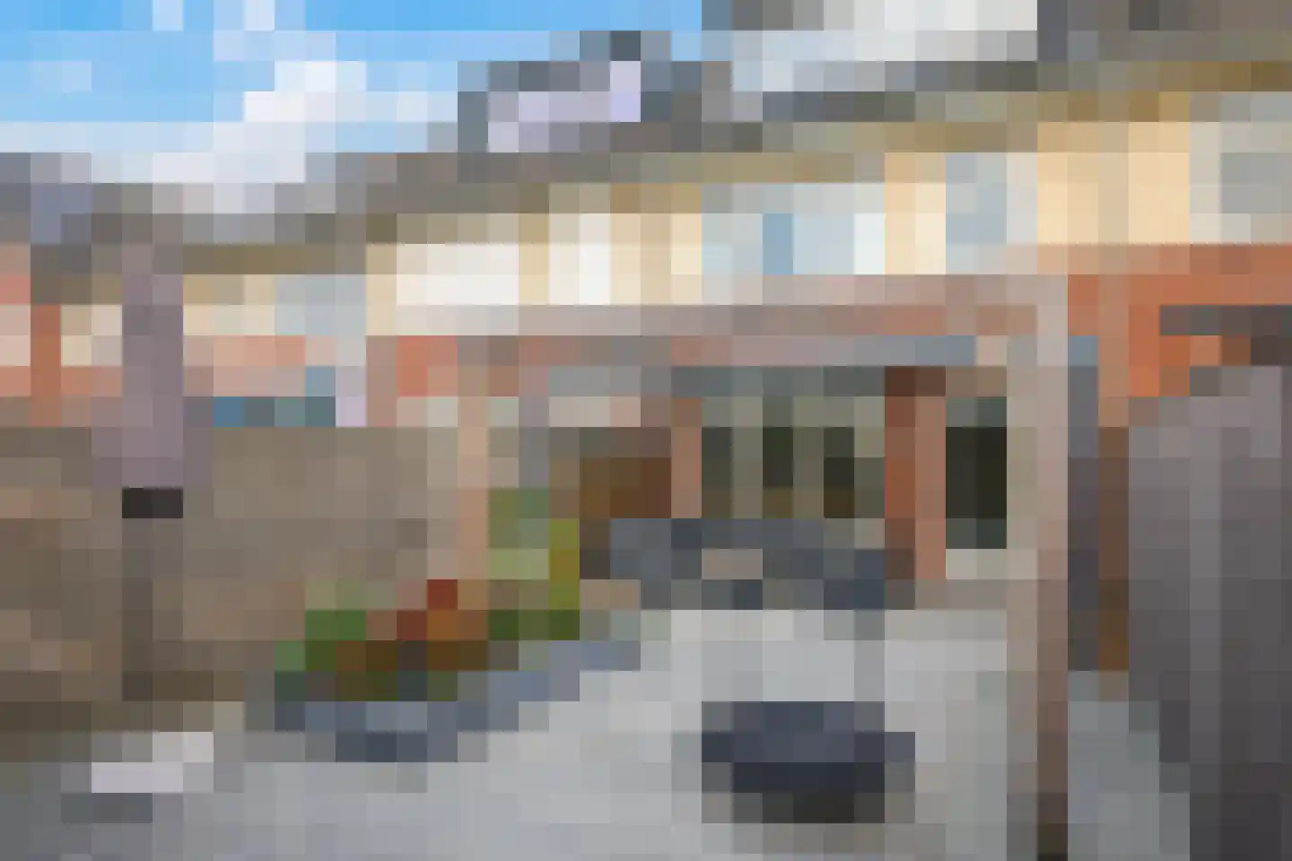 Paardenbloem 48 Driel thumbnail 56