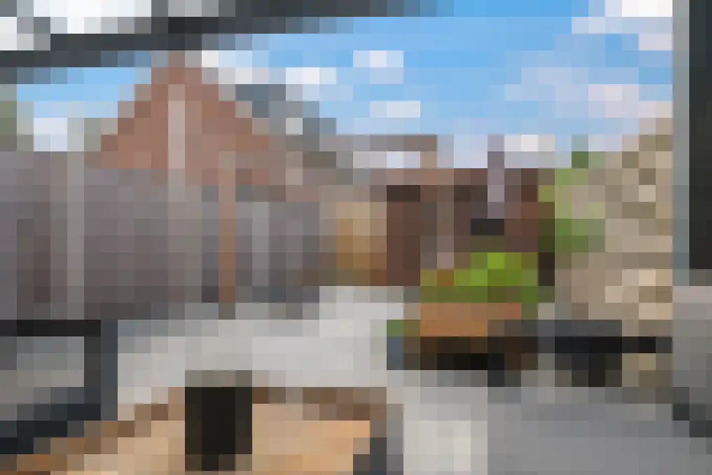 Paardenbloem 48 Driel thumbnail 63
