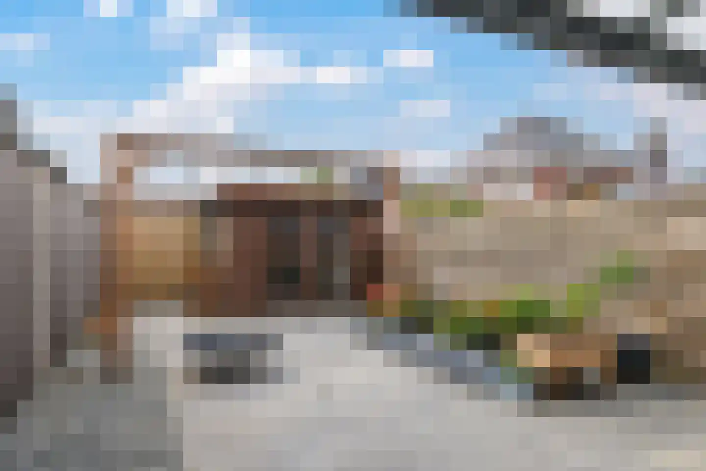 Paardenbloem 48 Driel thumbnail 64