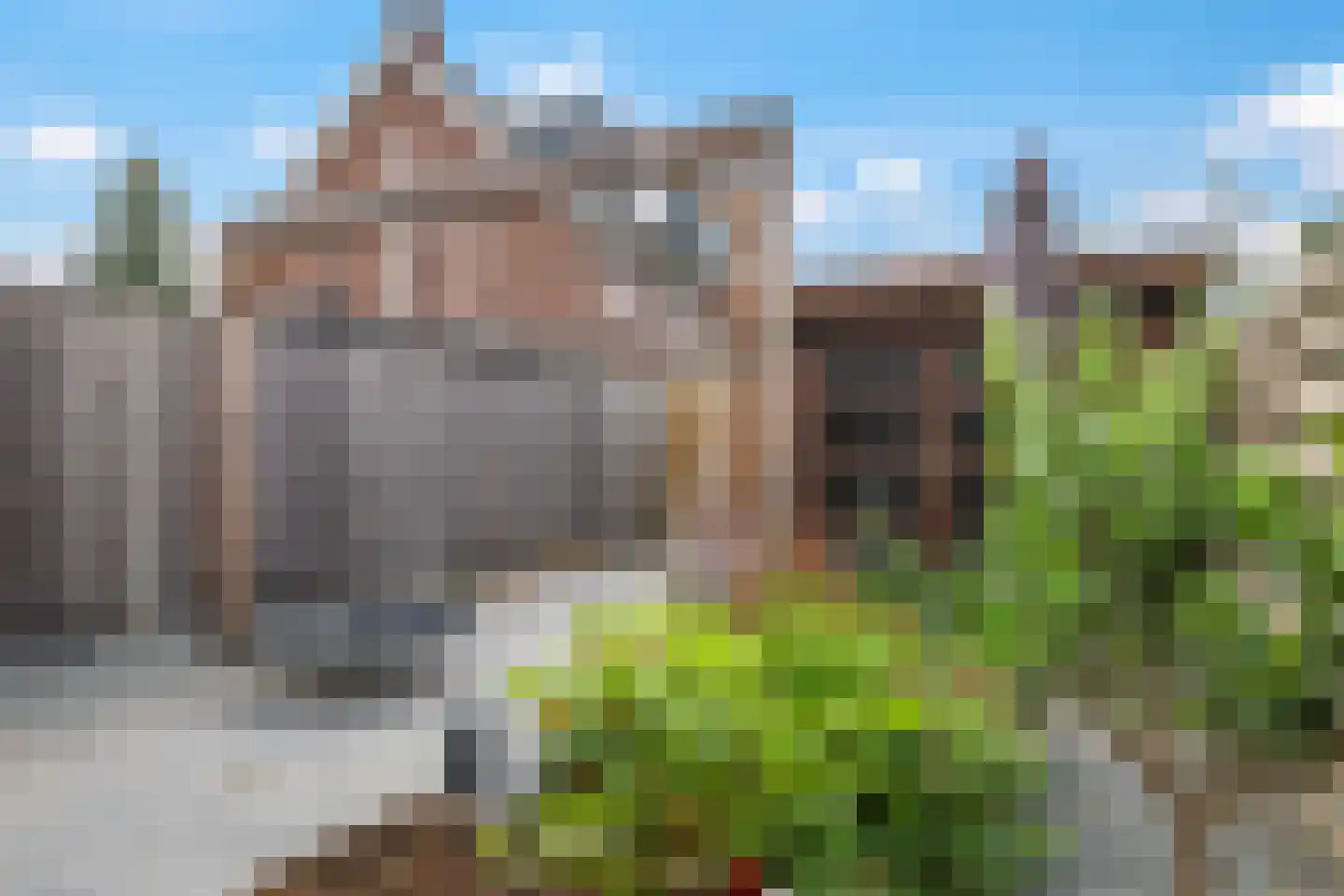 Paardenbloem 48 Driel thumbnail 65