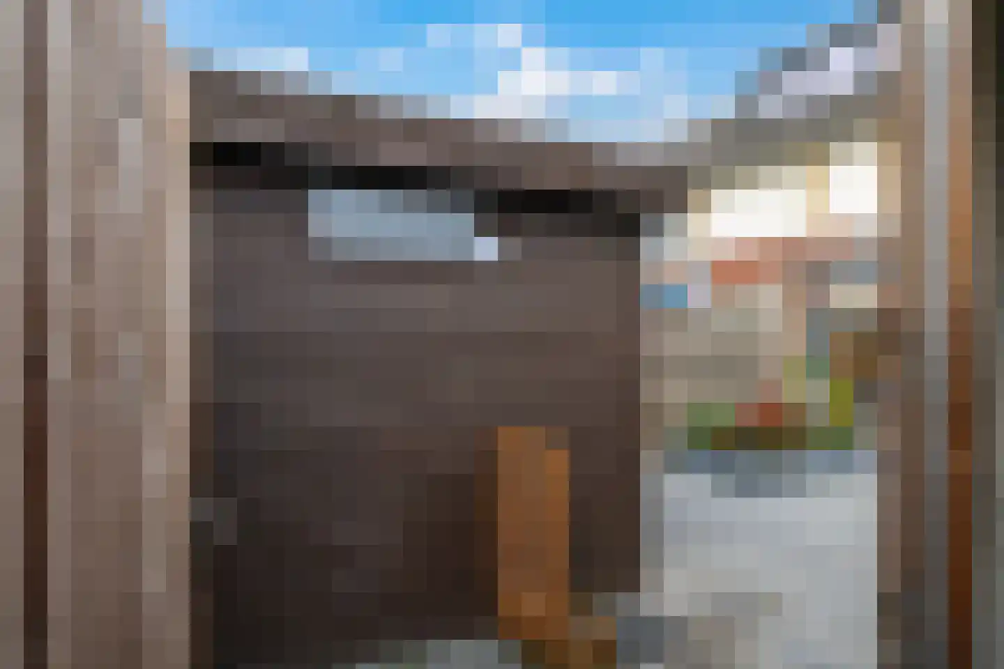 Paardenbloem 48 Driel thumbnail 68