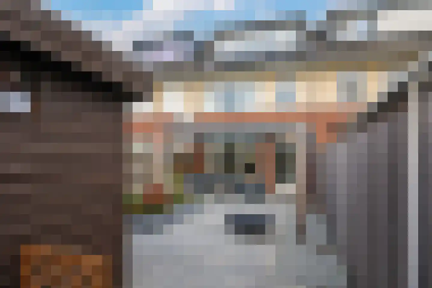 Paardenbloem 48 Driel thumbnail 69
