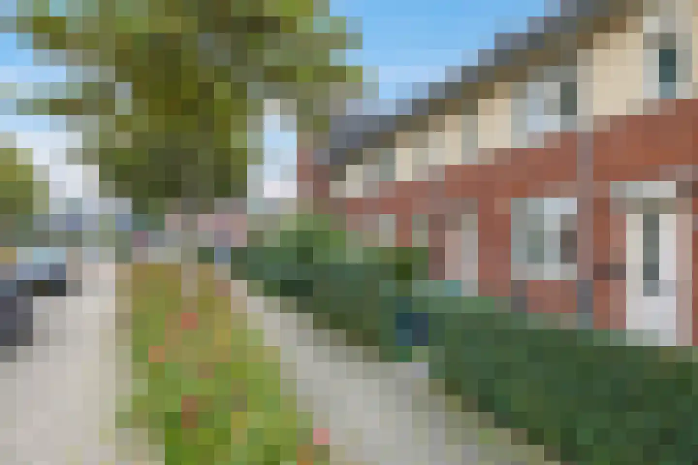 Paardenbloem 48 Driel thumbnail 79