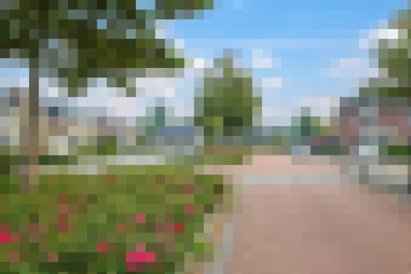 Paardenbloem 48 Driel thumbnail 83