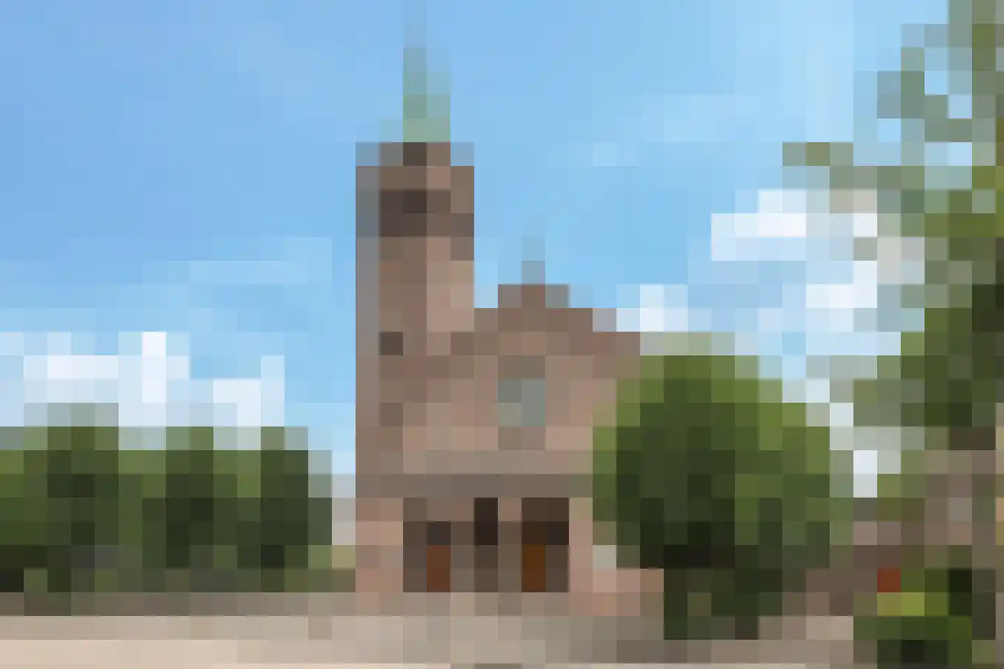 Paardenbloem 48 Driel thumbnail 85