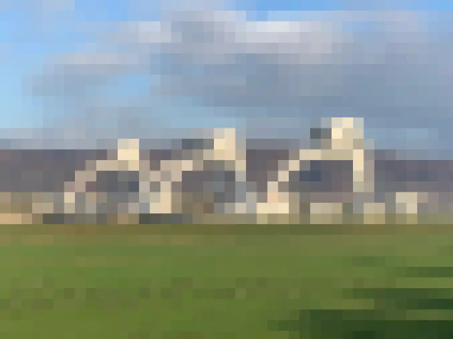 Paardenbloem 48 Driel thumbnail 86