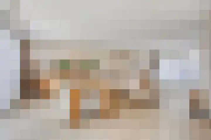 Paardenbloem 5 Zevenbergen thumbnail 14