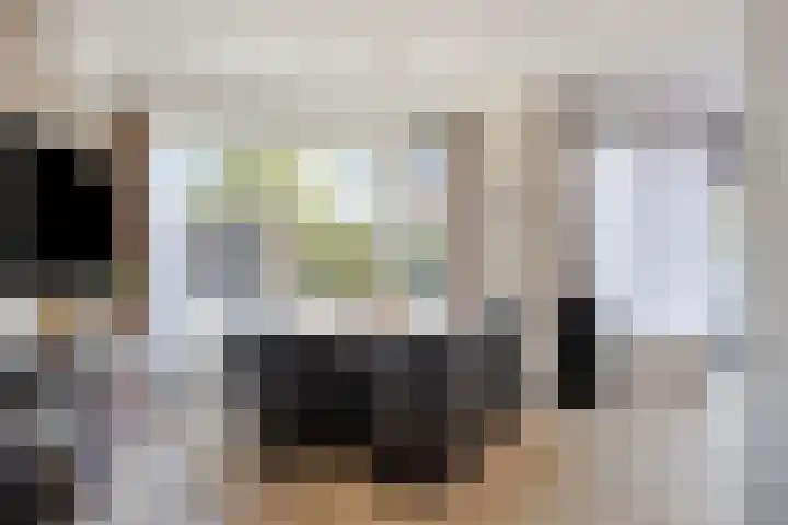 Paardenbloem 5 Zevenbergen thumbnail 15