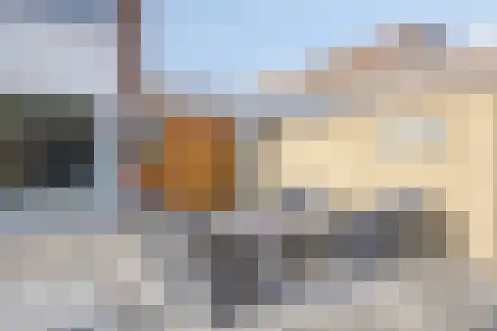 Paardenbloem 5 Zevenbergen thumbnail 30