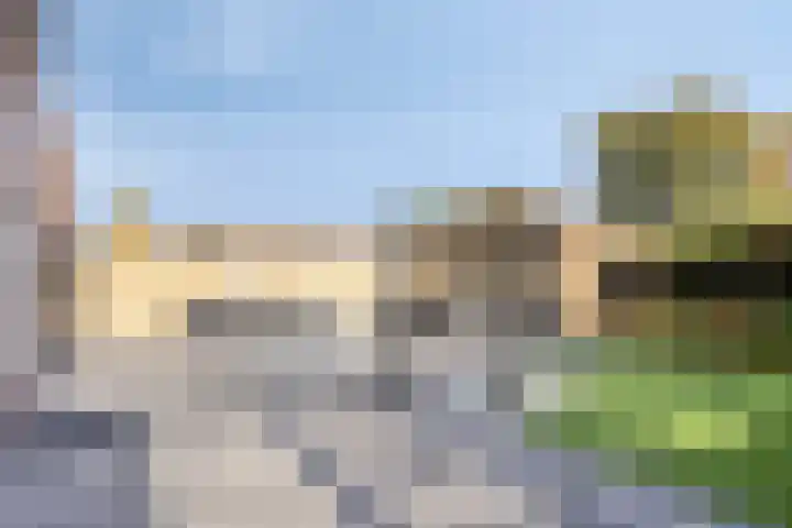 Paardenbloem 5 Zevenbergen thumbnail 31