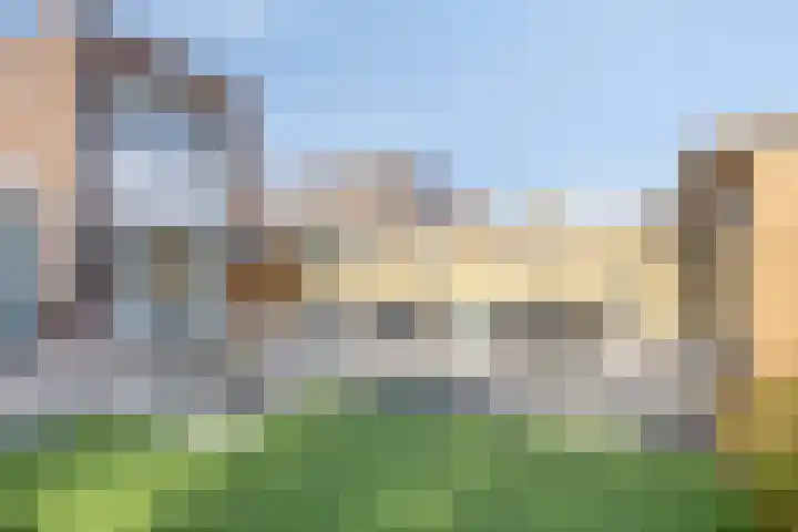 Paardenbloem 5 Zevenbergen thumbnail 32
