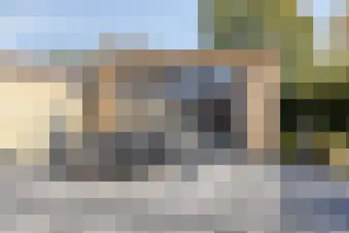 Paardenbloem 5 Zevenbergen thumbnail 33