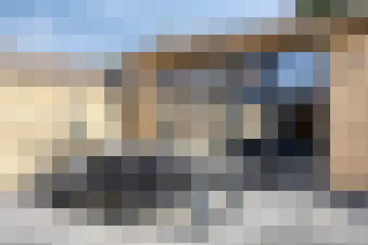 Paardenbloem 5 Zevenbergen thumbnail 34