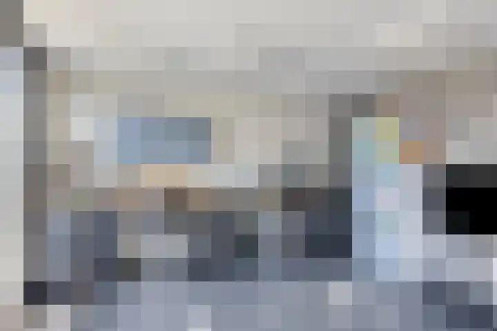 Paardenbloem 5 Zevenbergen thumbnail 35
