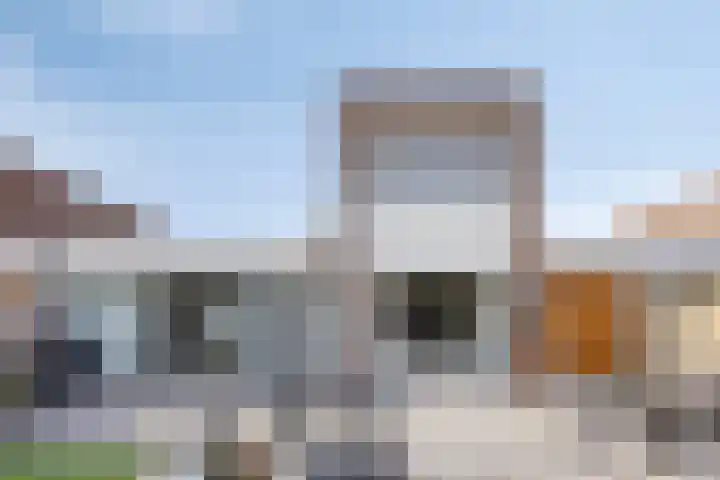 Paardenbloem 5 Zevenbergen thumbnail 37